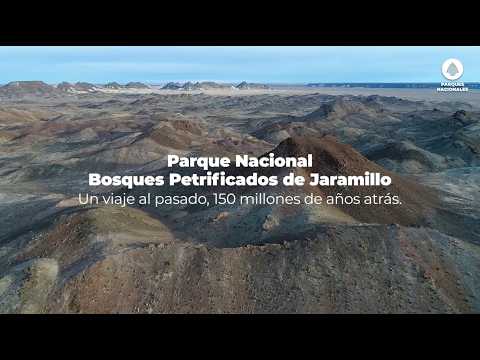 Parque Nacional Bosques Petrificados de Jaramillo