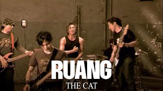 Download lagu The Cat - Ruang (Remastered Audio) mp3