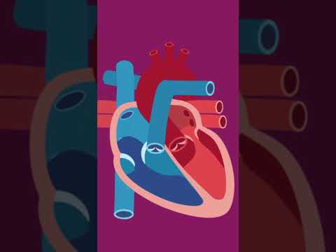 So funktioniert unser #herz #weltherztag