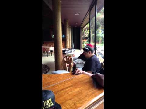 HO'AIKANE FEATURING BRUDDAH WALTAH- "It's Never Easy"