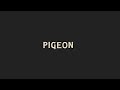 How To Pronounce Pigeon