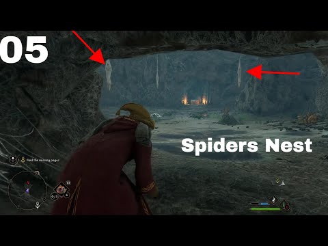 SO MANY SPIDERS - Hogwarts Legacy Playthrough(Part5)