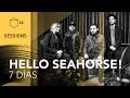 Hello Seahorse! - 7 Días | CC SESSIONS