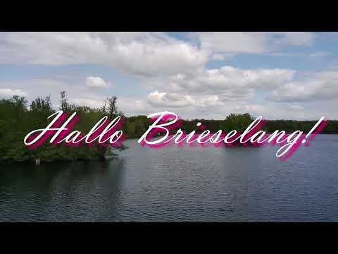 Hallo Brieselang - Das Lied zur Wahl!