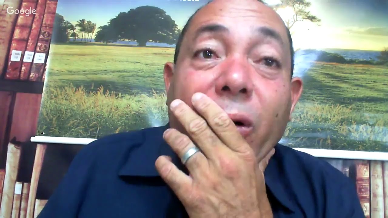 Sonhar com jacaré macaco boneco significa falsidade animais que representa falsidade nos Sonhos