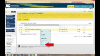 Managing the Content Collection in Blackboard