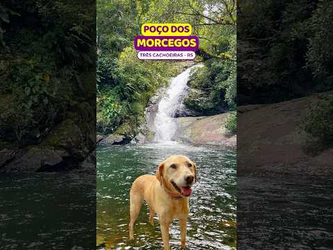 😱IMPERDÍVEL em formato de escorregador: #pocodosmorcegos #trescachoeiras