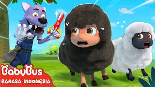 Download lagu Domba Hitam, Apa Kau Punya Wol | Baa Baa Black Sheep | Lagu Anak-anak | BabyBus Bahasa Indonesia mp3
