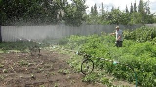 горчица белая видео кфх урожайное