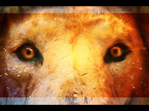 Saber-Toothed Tiger Animation: After Effects