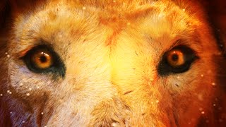 Saber-Toothed Tiger Animation: After Effects