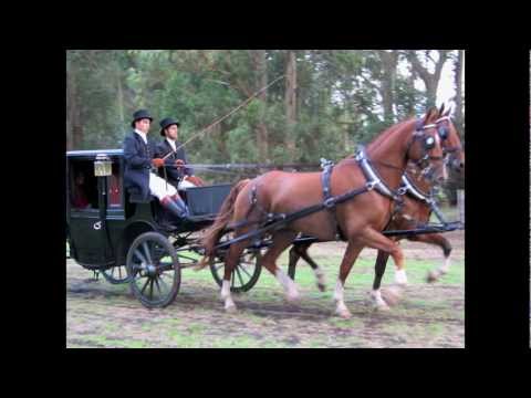 Campo y librea (2012)