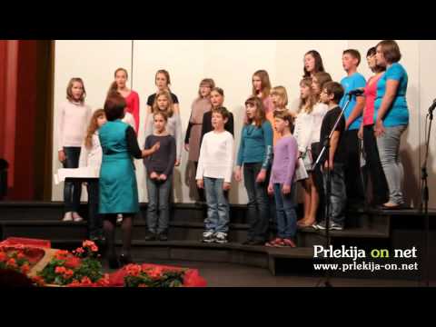 Dobrodelni koncert pevskih zborov OŠ Stročja vas