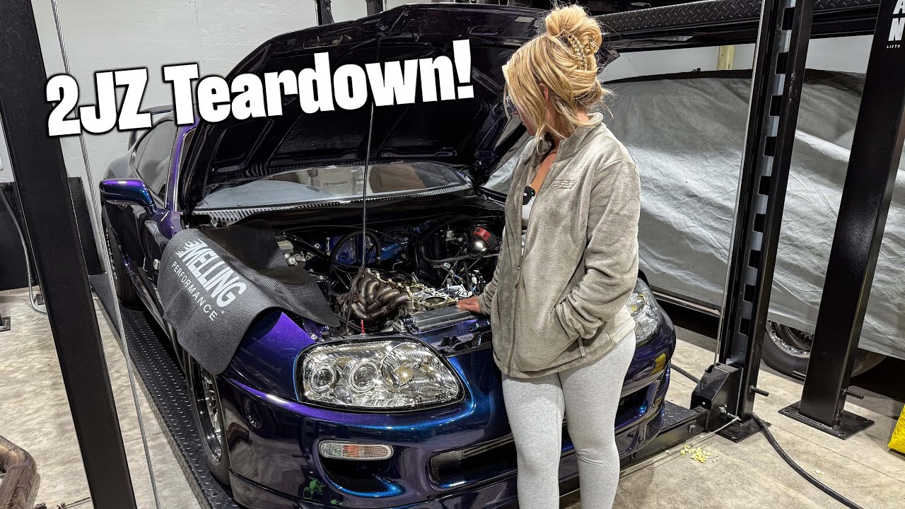 Motorsports Molly