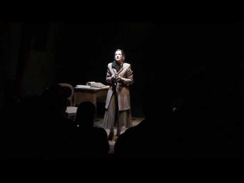 TRAILER "LA STRANIERA - ZINGARA ASSORTA IN UN SOGNO"