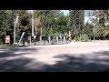 ПОСЛЕДНИЕ ДНИ УХОДЯЩЕГО ЛЕТА 