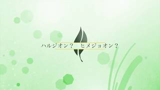 ハルジオン ヒメジョオン？