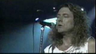 Robert Plant - If I Were A Carpenter (VH1).mpg