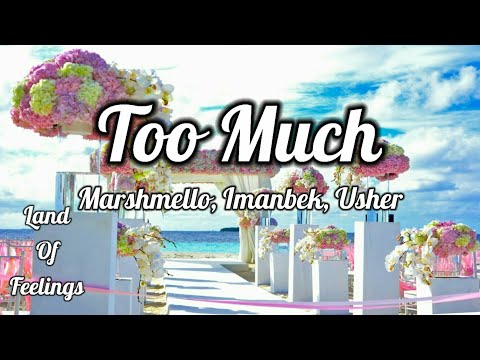 Marshmello x Imanbek - Too Much (Lyrics) ft. Usher