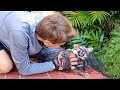 SICK INJURED FOX CAUGHT IN MY NEIGHBORHOOD WILL HE SURVIVE