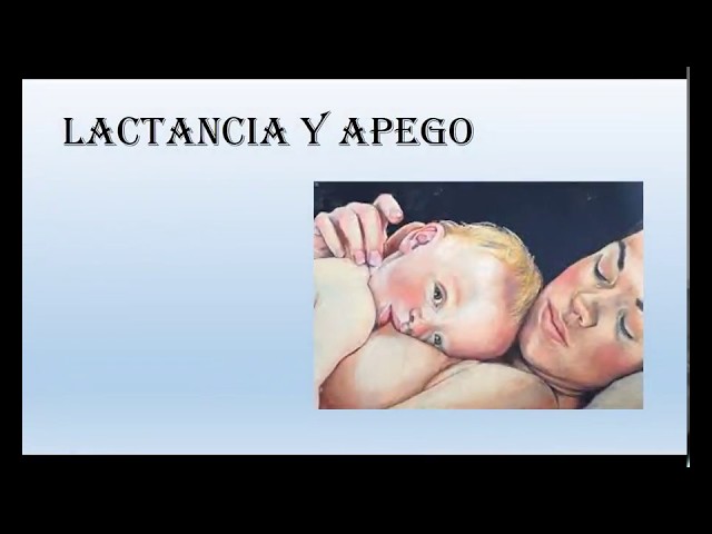 Lactancia y Apego - Carolina Bravo