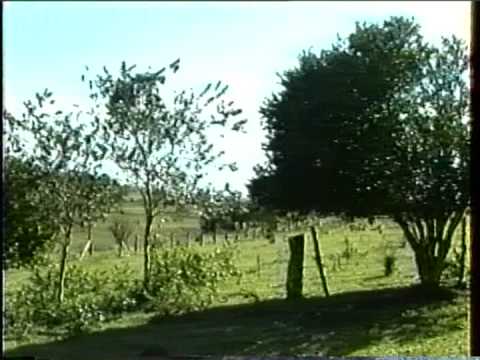 CEAEC #0 Primeira visita ao Local do CEAEC - Foz do Iguaçu - 1995