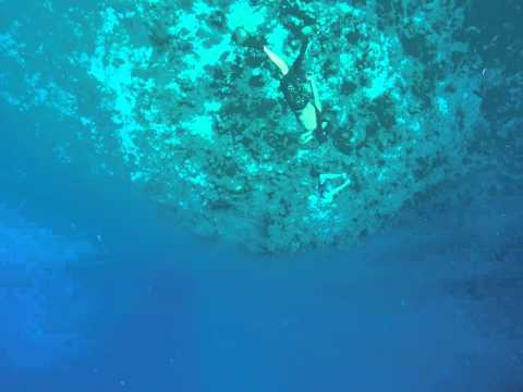 Free dive bloody bay wall, Little Cayman