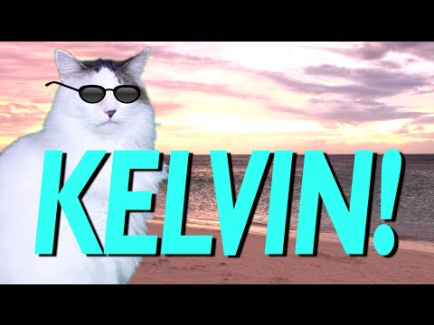 HAPPY BIRTHDAY KELVIN! - EPIC CAT Happy Birthday Song