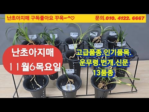 유튜브 썸네일
