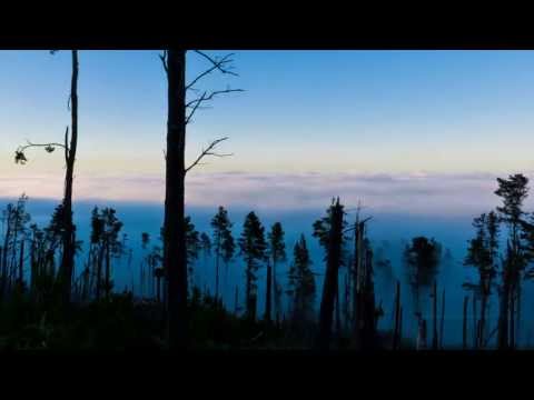 Memoryhouse - Old Haunts (Aurora Remix) [Chillstep]