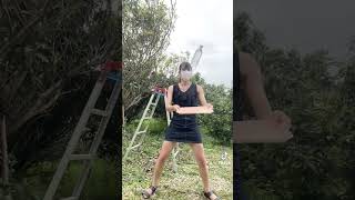 【??????】おすすめ