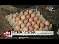 Poultry Farmers In Kiambu Reaping Benefits From Improved Egg Prices