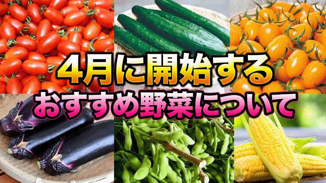 【4月スタート】今植えないと損する野菜5選