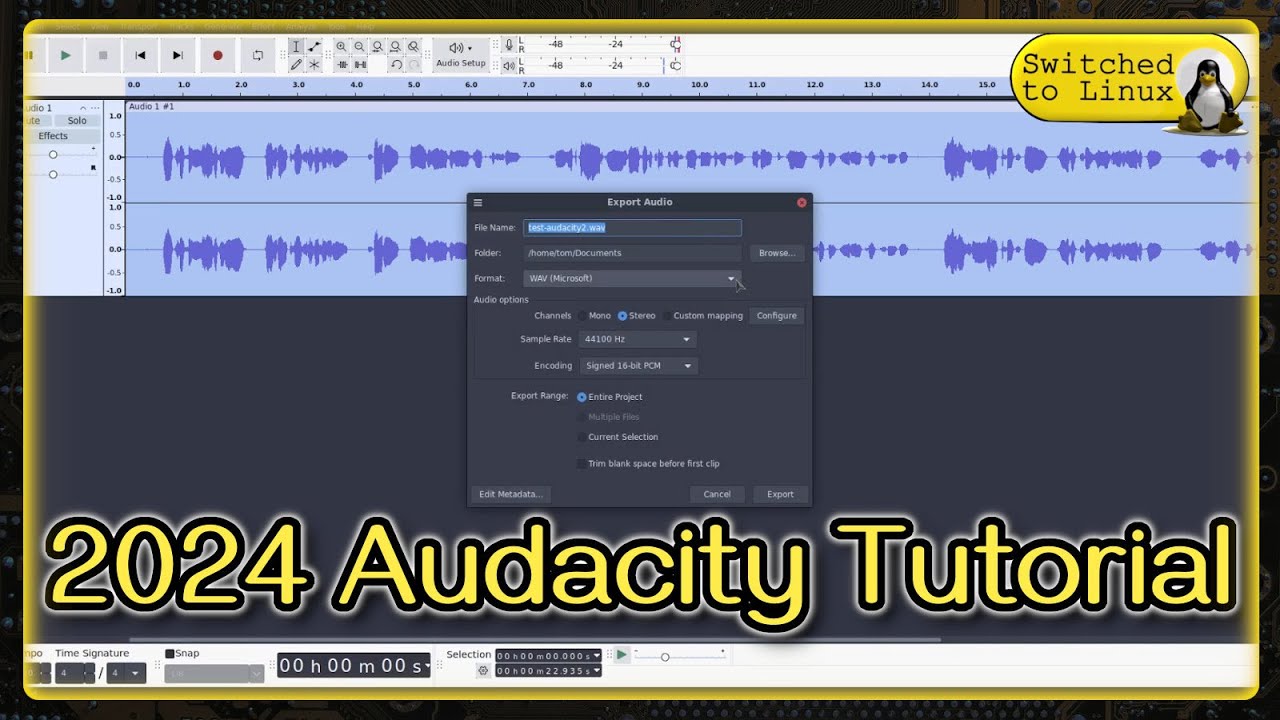 Master Audio Editing Basics in Under 10 mins! | Audacity Guide