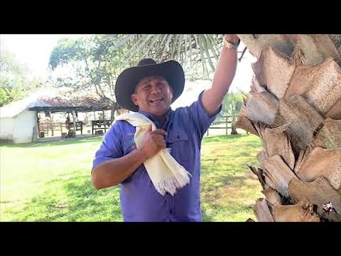 El Gaban Politico - Villamil Torres