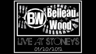 Landing on the mountains of Meggido  LIVE STONEYS.avi