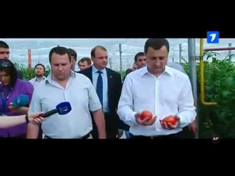 Kapushon - ZEMLIANKA 1 (Official Video)