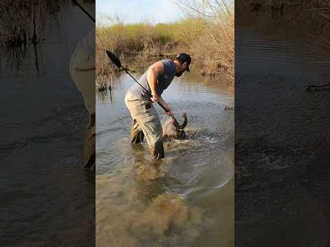 Fishing with a Cold Steel Samburu Spear