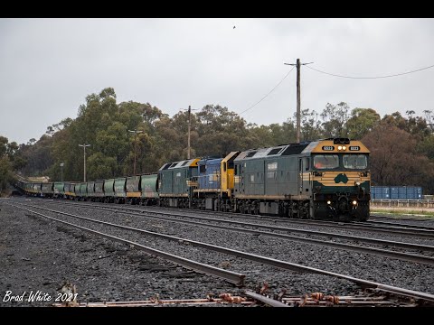 Pacific National 7935V grain arrives and shunts at Dunolly with G523, X50 and G539- 30/9/21
