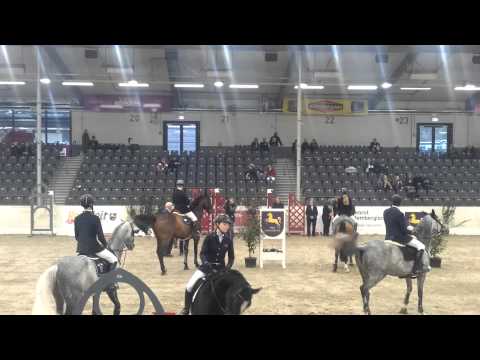 Jugend-Challenge in Verden - S-Springen