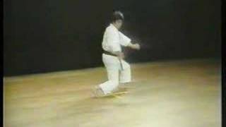 Download lagu Enpi - Shotokan Karate mp3