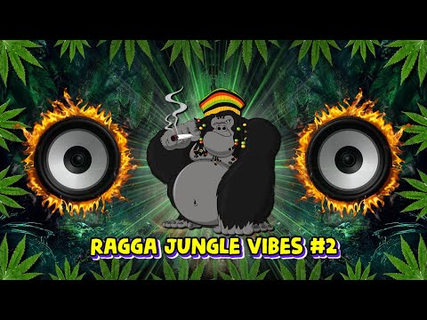 Ragga Jungle Drum & Bass Vibes #2 (Reggae DnB Mix)