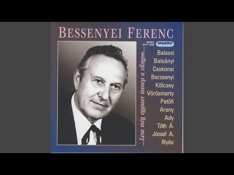 Egy gondolat bánt engemet