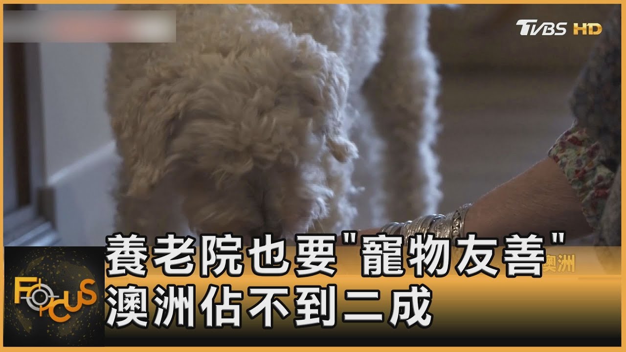 養老院也要「寵物友善」 澳洲佔不到二成