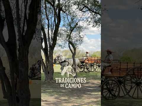 Carruajes en San Antonio de Areco