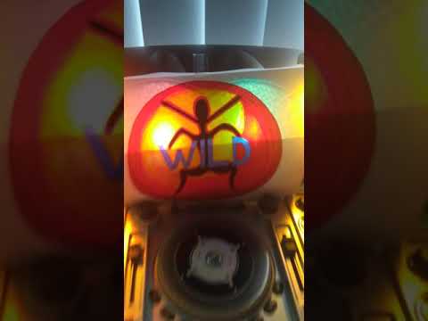 the wild megamix from wild FM volume 1 mixed by Diego v.