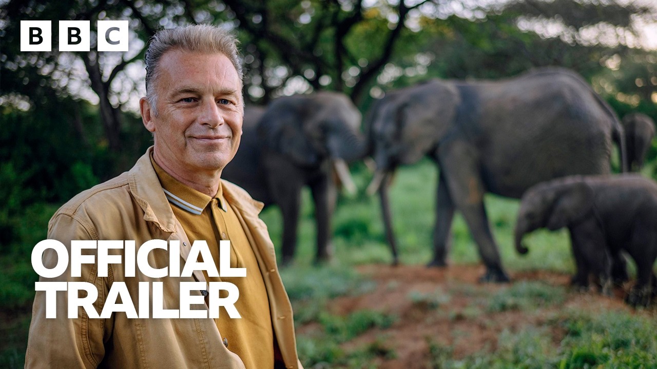Evolution | Trailer &ndash; BBC - YouTube