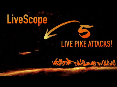 LiveScope from Garmin: 5 Live Pelagic Pike Attacks, pelagic fishing with Kristof Daisone for pike