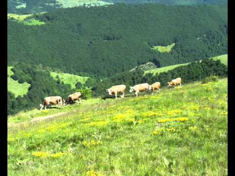 Tri livade nigde lada nema