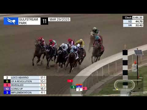 Gulfstream Park Carrera 11 ( The Army Mule S. ) - 29 de Marzo 2025